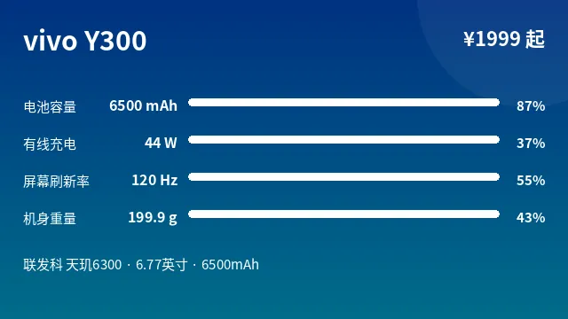 vivo Y300 参数速览